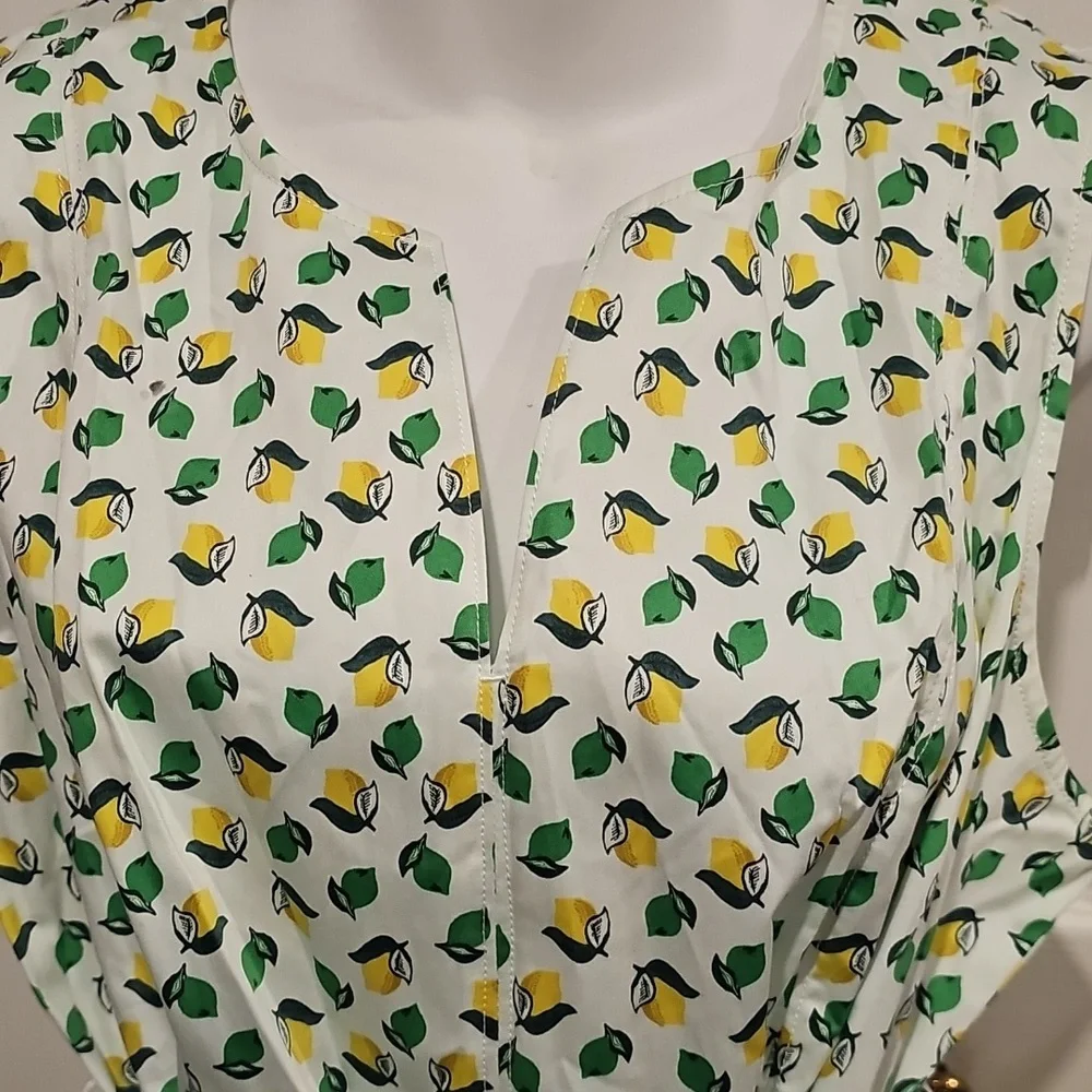 Boden Mischa Belted Lemon & Lime Dress Sz 14R NWT - Picture 9 of 13